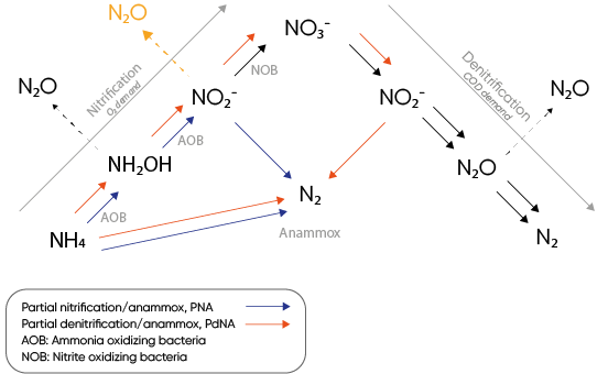 Denitrification O2 and COD demand
