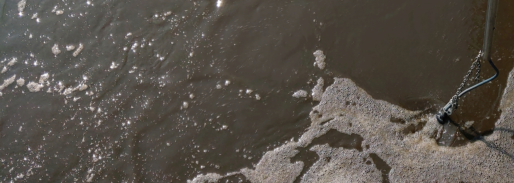 N2O Sensor Controls Emissions from Deammonification Processes