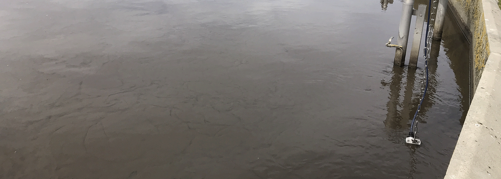 Sensor in wastewater