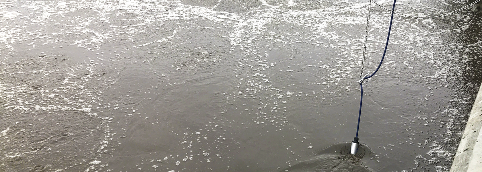 Measuring nitrous oxide in water