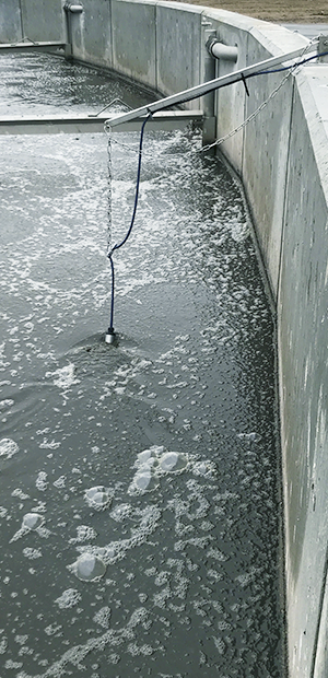 Mounted nitrous oxide sensor